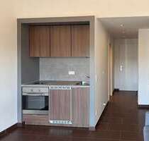 Wohnung zum Kaufen in München Ludwigsvorstadt 379.000,00 € 23.3 m² - München / Ludwigsvorstadt