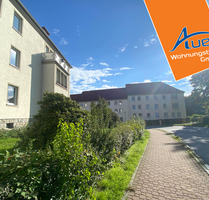 Wohnung zum Mieten in Aue-Bad Schlema 384,67 € 69.94 m²