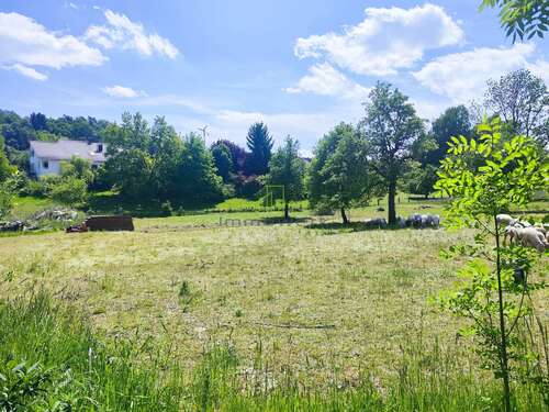 Foto - Grundstück zu verkaufen in Balzheim 199.000,00 € 730 m²