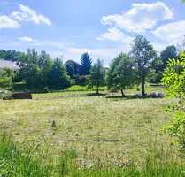 Grundstück zu verkaufen in Balzheim 199.000,00 € 730 m²