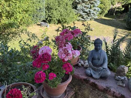 Foto - Haus zum Kaufen in Niedernhausen-Engenhahn 789.000,00 € 189 m²