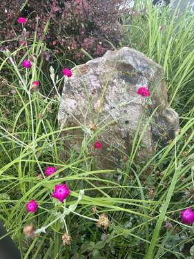 Foto - Grundstück zu verkaufen in Niedernhausen 229.000,00 € 300 m²