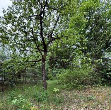 Foto - Grundstück zu verkaufen in Potsdam 287.000,00 € 500 m²