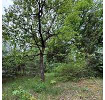 Grundstück zu verkaufen in Potsdam 287.000,00 € 500 m²