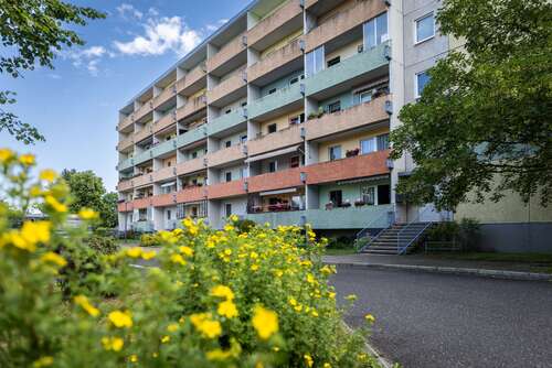 Foto - Wohnung zum Mieten in Olbersdorf 300,00 € 40 m²