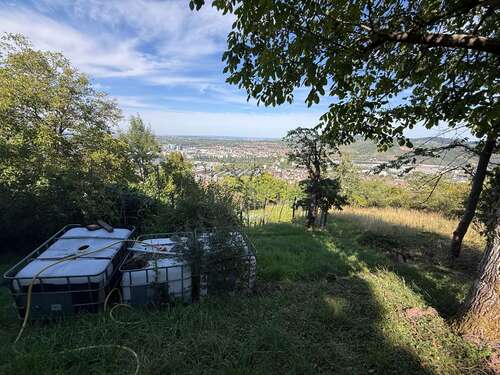 Foto - Grundstück zu verkaufen in Stuttgart 35.000,00 € 1781 m²
