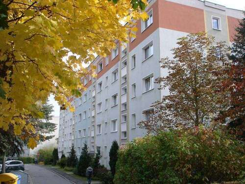 Foto - Wohnung zum Mieten in Kirchberg 365,00 € 56.2 m²