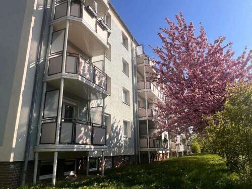 Foto - Wohnung zum Mieten in Wilkau-Haßlau 448,00 € 59.66 m²