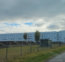 Wohnung zum Mieten in Altenburg 342,00 € 51 m²