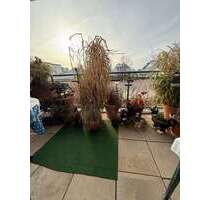 Wohnung zum Kaufen in Solingen-Ohligs 169.000,00 € 59 m²