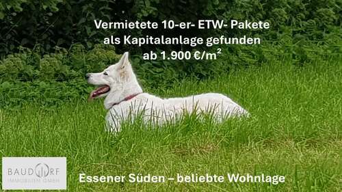 Foto - Wohnung zum Kaufen in Essen 1.311.000,00 € 650 m²