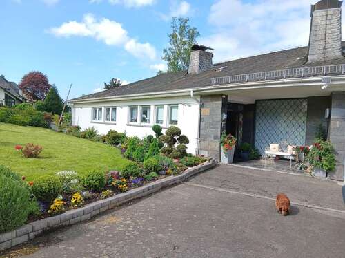 Foto - Haus zum Kaufen in Bullay 580.000,00 € 430.84 m²