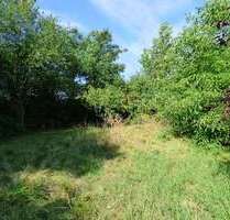 Grundstück zu verkaufen in Groß Kreutz (Havel) 89.000,00 € 511 m²