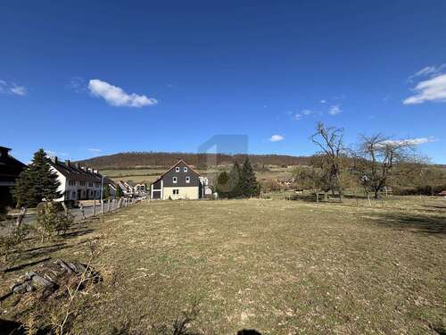 Foto - Grundstück zu verkaufen in Dassel 46.000,00 € 2420 m²