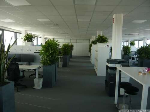 Foto - Büro in Karlsruhe 5.208,80 € 766 m²