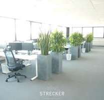 Büro in Karlsruhe 5.208,80 € 766 m²