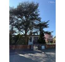 Grundstück zu verkaufen in Darmstadt 1.249.000,00 € 1119 m²