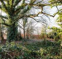 Grundstück zu verkaufen in Hamburg 499.000,00 € 740 m²