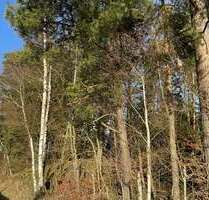 Grundstück in Tirschenreuth Lengenfeld 159.280,00 € 39820 m² - Tirschenreuth / Lengenfeld