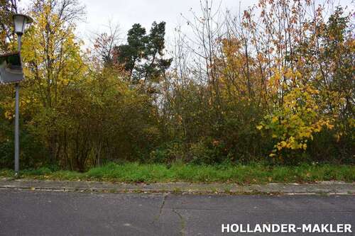 Foto - Grundstück zu verkaufen in Reil 105.800,00 € 1058 m²