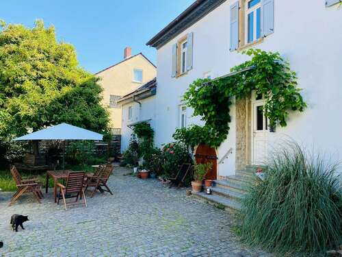 Foto - Wohnen auf Zeit in Mainz 1.850,00 €