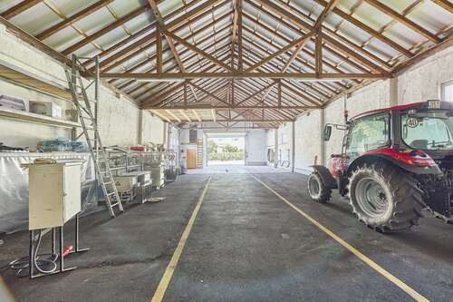 Foto - Halle in Siebeldingen 1.650,00 € 413 m²