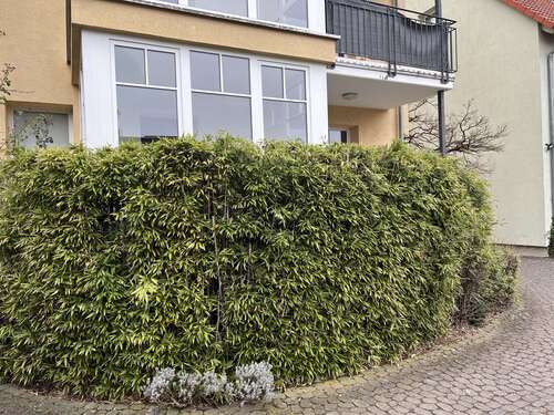 Foto - Wohnung zum Mieten in Neu Isenburg 1.035,00 € 59 m²