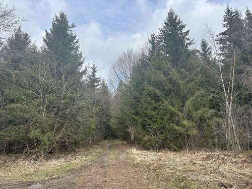 Foto - Grundstück in Vogtareuth 215.000,00 € 32600 m²