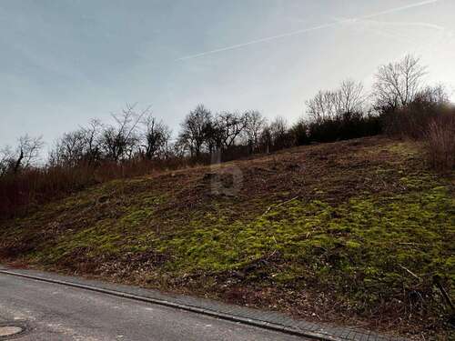 Foto - Grundstück zu verkaufen in Welschbillig 59.000,00 € 839 m²