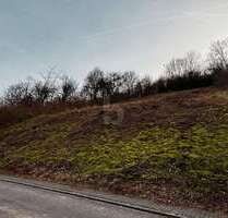 Grundstück zu verkaufen in Welschbillig 59.000,00 € 839 m²