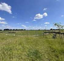 Haus zum Kaufen in Edemissen 699.000,00 € 230 m²