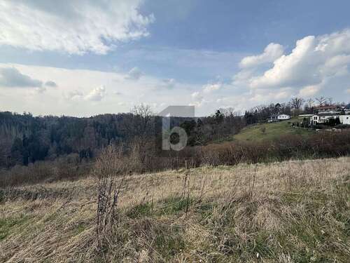 Foto - Grundstück zu verkaufen in Wildberg 215.000,00 € 1288 m²
