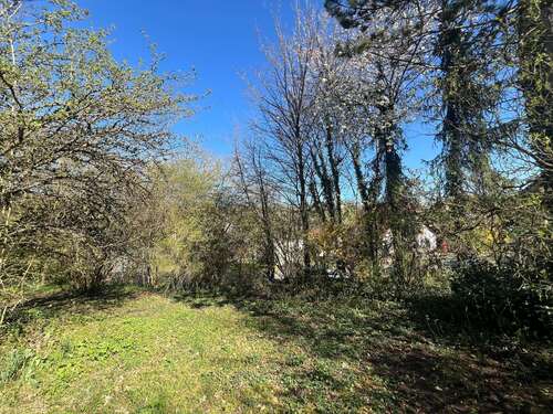 Foto - Grundstück zu verkaufen in Nußbaum 119.000,00 € 1042 m²