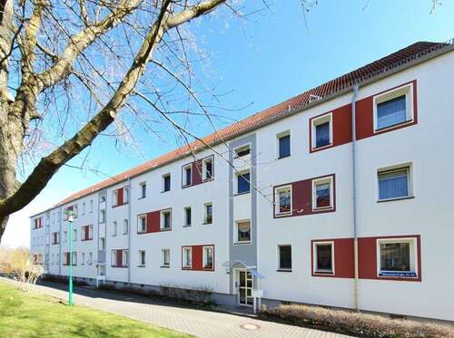 Foto - Wohnung zum Mieten in Zwickau 174,00 € 29 m²