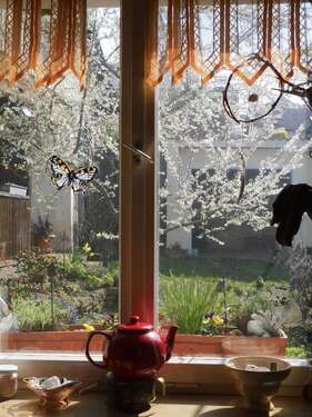 Foto - Haus zum Kaufen in Oedheim 398.500,00 € 226 m²