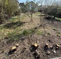 Grundstück zu verkaufen in Gabsheim 98.000,00 € 319 m²