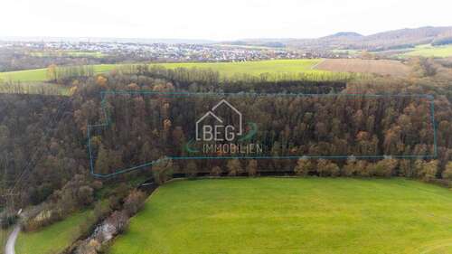 Foto - Grundstück zu verkaufen in Schwäbisch Hall Vogelholz 39.995,00 € 27378 m²