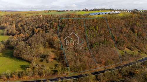 Foto - Grundstück zu verkaufen in Schwäbisch HallTannenberg 11.800,00 € 9842 m²