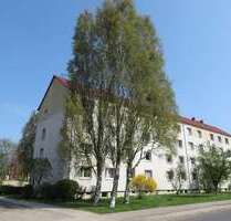 Wohnung zum Mieten in Finsterwalde 450,11 € 74.26 m²