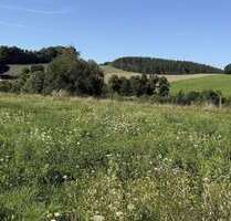 Grundstück zu verkaufen in Drebach 53.475,00 € 713 m²