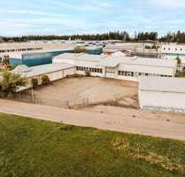 Halle in Trossingen 1.100.000,00 € 1000 m²