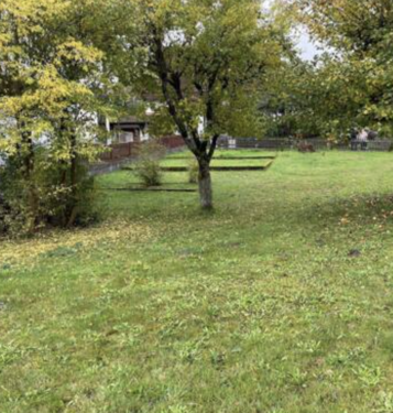 Foto - Grundstück zu verkaufen in Mainhausen 290.000,00 € 300 m²