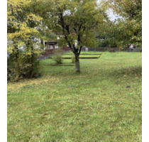 Grundstück zu verkaufen in Mainhausen 290.000,00 € 300 m²