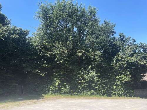 Foto - Grundstück zu verkaufen in Voerde 120.000,00 € 578 m²