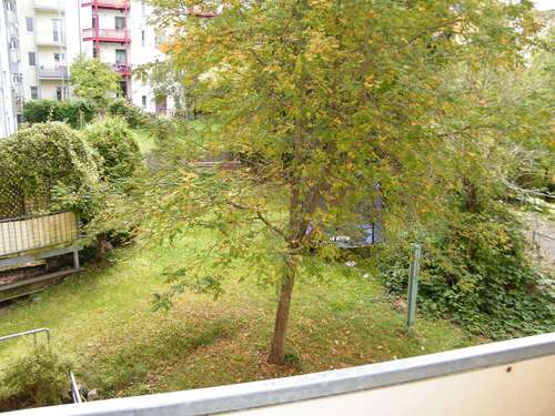 Foto - Wohnung zum Mieten in Chemnitz 255,00 € 42.28 m²