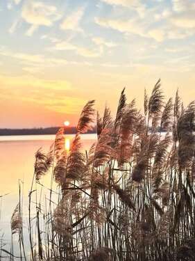 Foto - Wohnung zum Mieten in Markkleeberg 980,00 € 49.24 m²