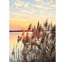 Wohnung zum Mieten in Markkleeberg 980,00 € 49.24 m²