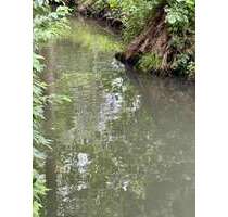 Haus zum Kaufen in Burg 399.000,00 € 123 m²