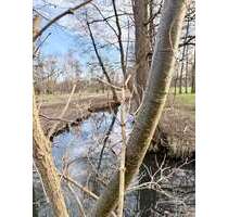 Haus zum Kaufen in Burg 399.000,00 € 123 m²