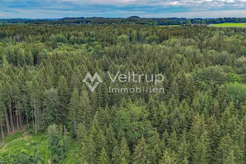 Foto - Grundstück in Wörthsee 239.500,00 € 19157 m²